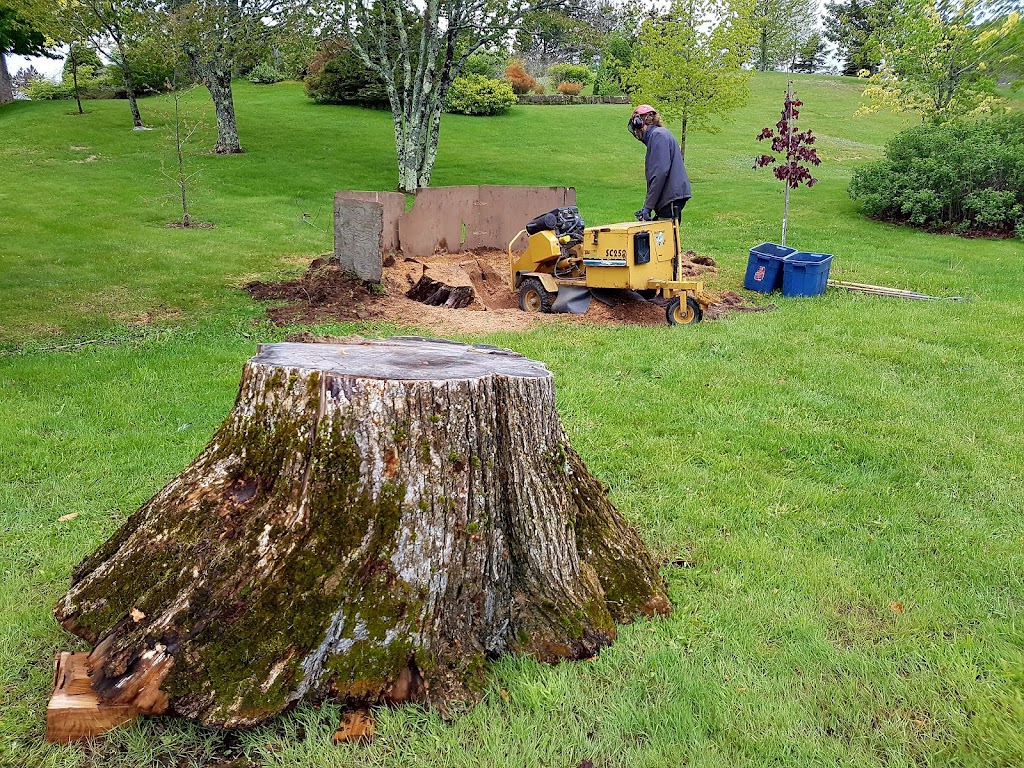 Martel Tree Service | 40 Teesdale St, Moncton, NB E1A 5K5, Canada | Phone: (506) 387-7342