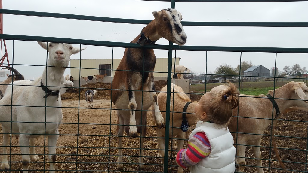 Rivers Edge Goat Dairy | 8102 Wellington County Rd 109, Arthur, ON N0G 1A0, Canada | Phone: (519) 848-2203