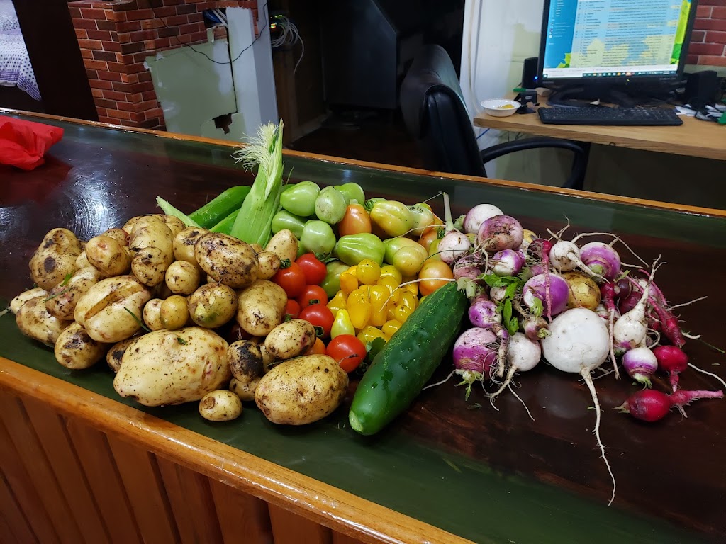 Khalsa Farm | 10059 ON-6, Wiarton, ON N0H 2T0, Canada | Phone: (416) 949-8902