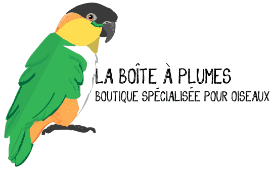 La boîte à plumes - Boutique en ligne pour oiseaux | 1971 Avenue Lapierre, Québec, QC G3E 0J5, Canada | Phone: (581) 705-1204
