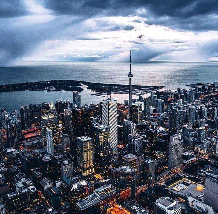 Colleen Gray, Realtor | 724 Pape Ave, Toronto, ON M4K 3S7, Canada | Phone: (416) 707-6613