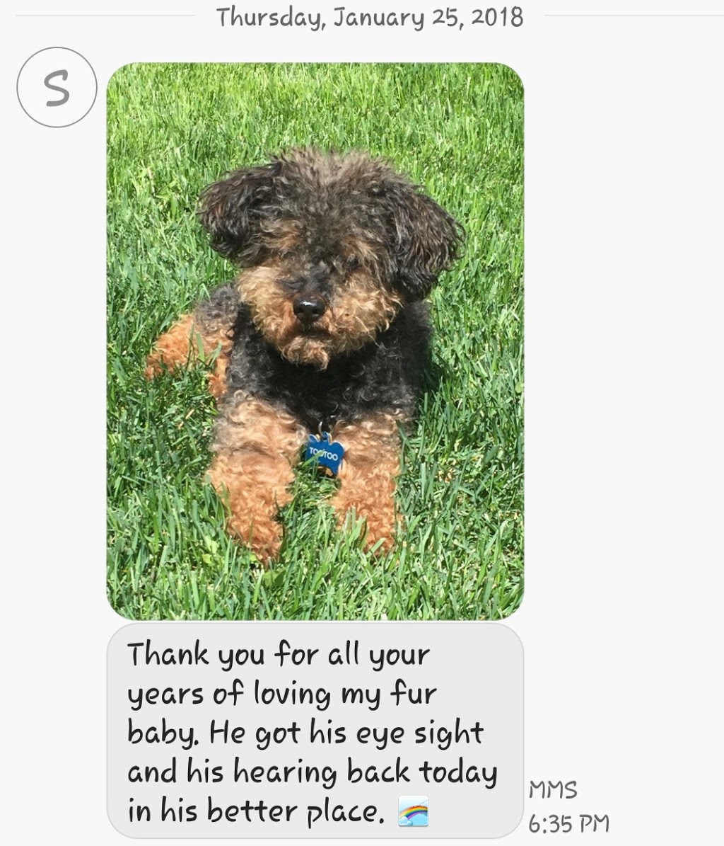 Barkies Paw Spa Dog Grooming | 4809 52 Ave, Bentley, AB T0C 0J0, Canada | Phone: (403) 318-6593