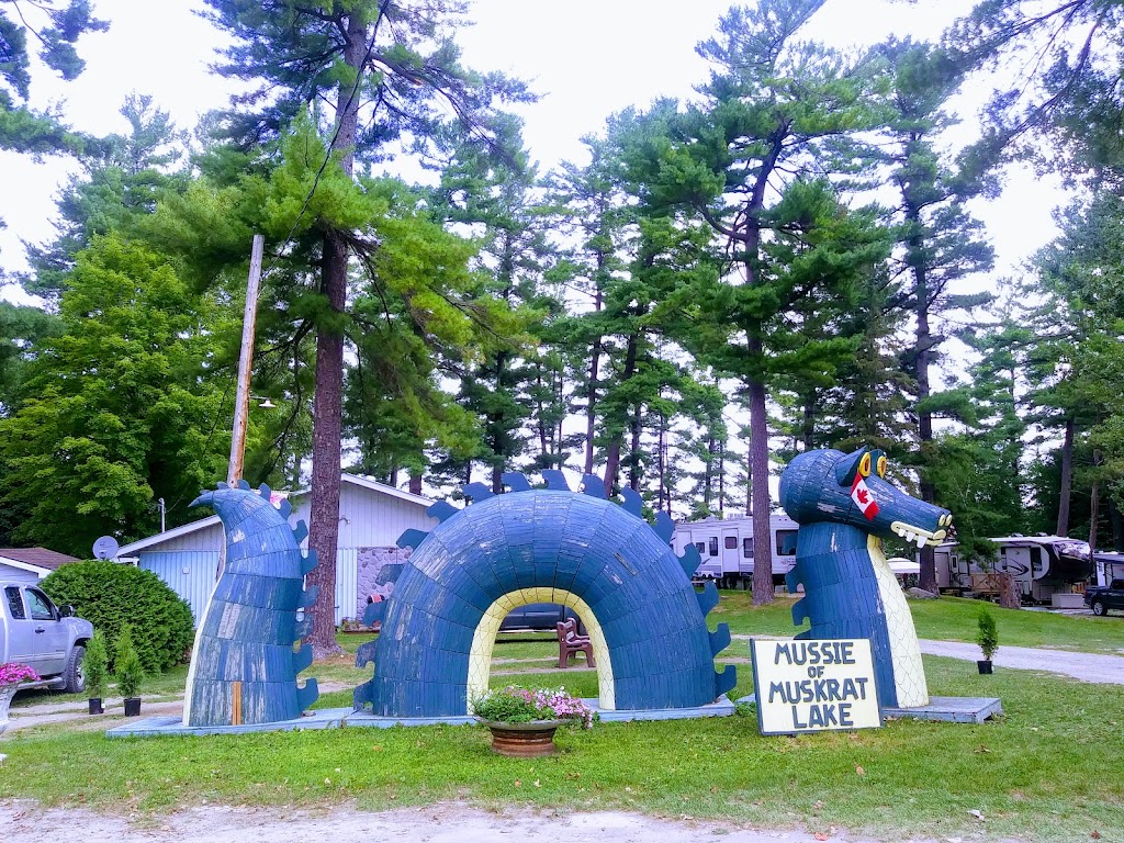 BonaVista Campground Inc. | 18070 Hwy 17, Cobden, ON K0J 1K0, Canada | Phone: (613) 646-2716