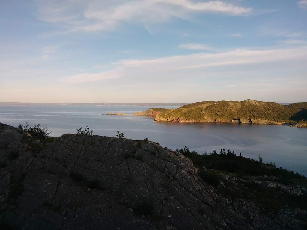 Brigus Seacliff | 44 Harbour Dr, Brigus, NL A0A 1K0, Canada | Phone: (709) 528-4488