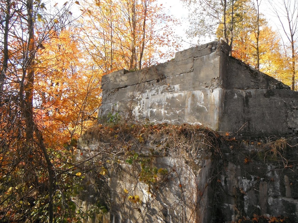 Hickson Trail | Hickson, ON N4S 7W1, Canada