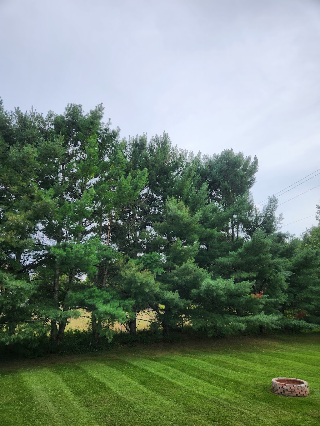 Wilson Lawn & Property Services Ltd. | 6 Poulsom Rd, Fenelon Falls, ON K0M 1N0, Canada | Phone: (705) 879-6172