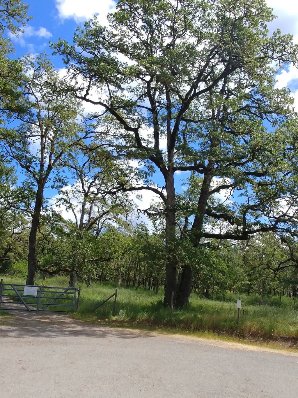 Cowichan Garry Oak Preserve | 1241 Maple Bay Rd, Duncan, BC V9L 5R9, Canada