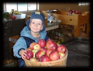 Simpson Orchards | 237 Mersea Road 5, Leamington, ON N8H 3V5, Canada | Phone: (519) 326-9459