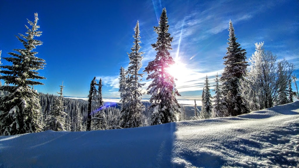 Silver Star Provincial Park | Vernon, BC V1B 3M6, Canada | Phone: (800) 689-9025