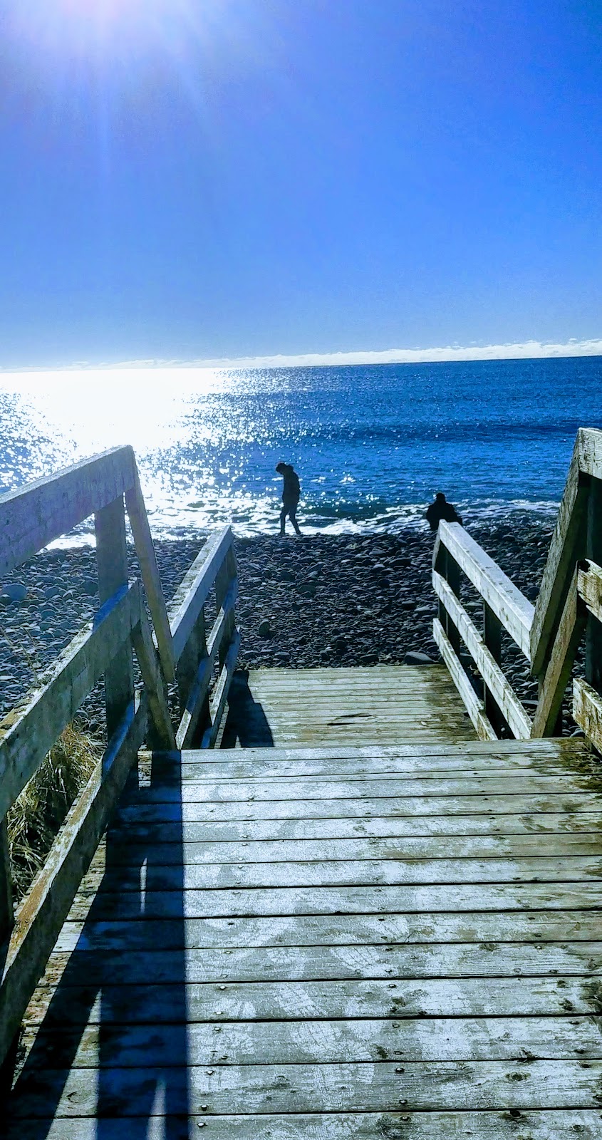 Atlantic View Trail | Atlantic View Trail, Halifax, NS B2Z 1P7, Canada