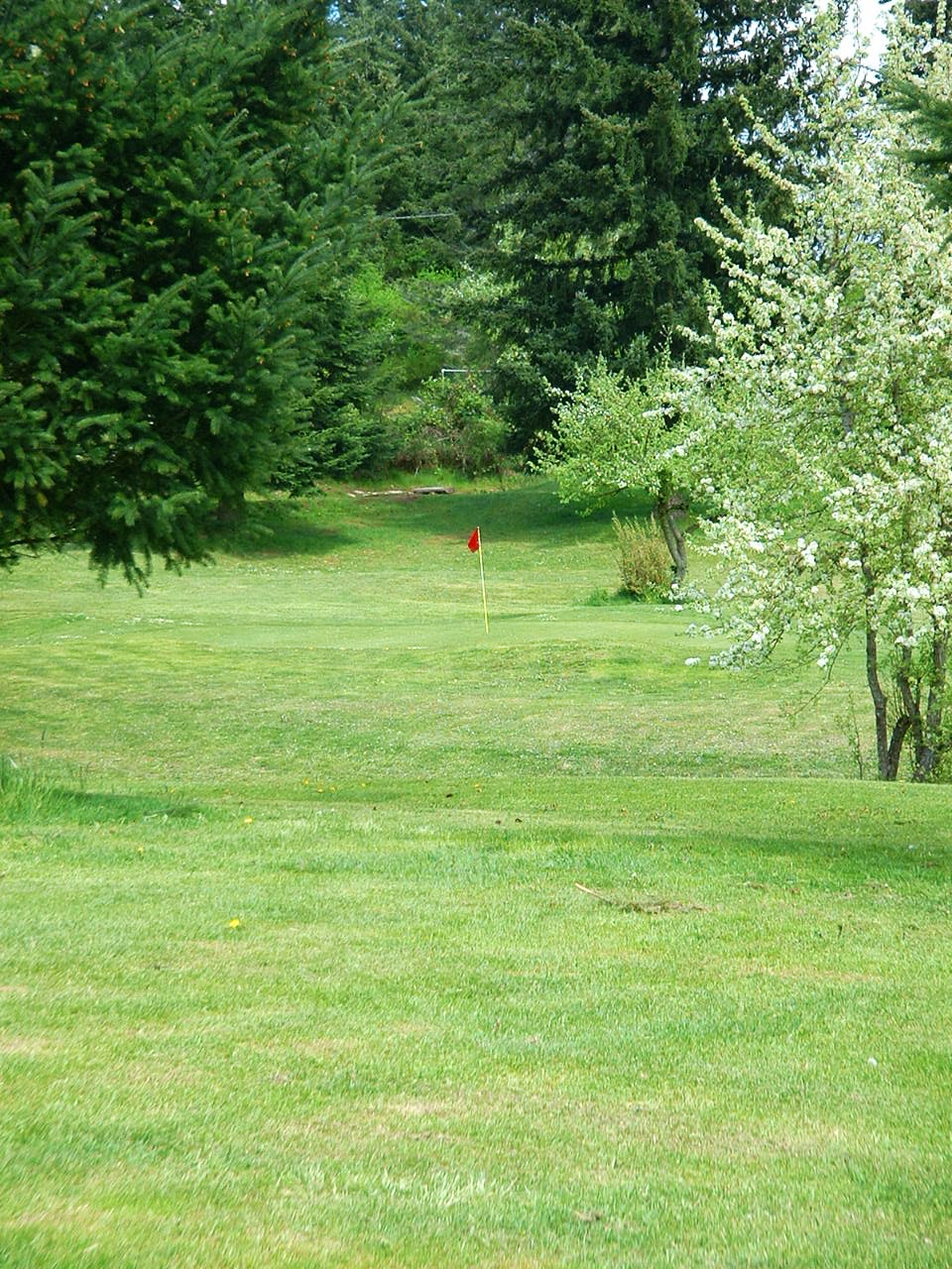 Eaglequest Golf Center | point of interest | 1601 Thatcher Rd, Nanaimo, BC V9R 1S6, Canada | 2507541325 OR +1 250-754-1325