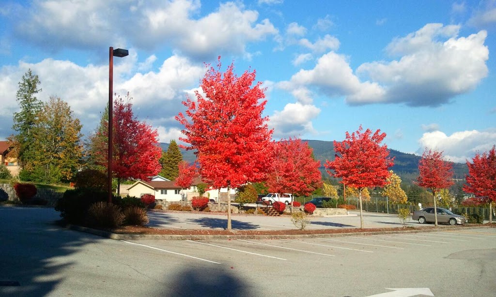 Westwood Community Church | 1294 Johnson St, Coquitlam, BC V3B 4T5, Canada | Phone: (604) 464-0558