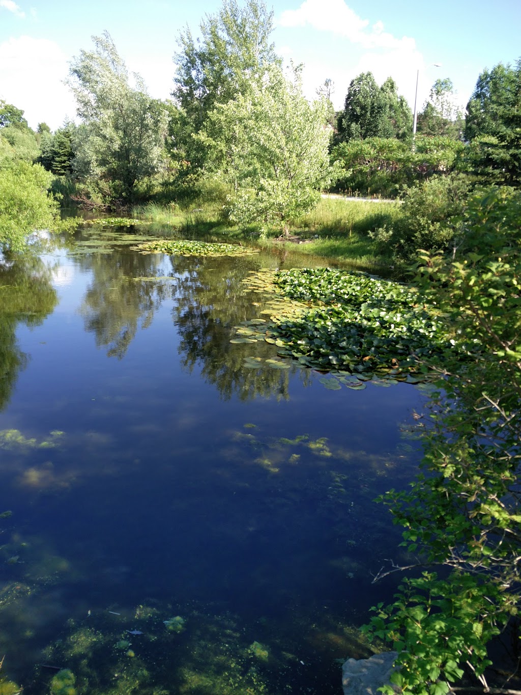 Ozark Park | 24 Antique Dr, Richmond Hill, ON L4E 3X5, Canada | Phone: (905) 771-8800