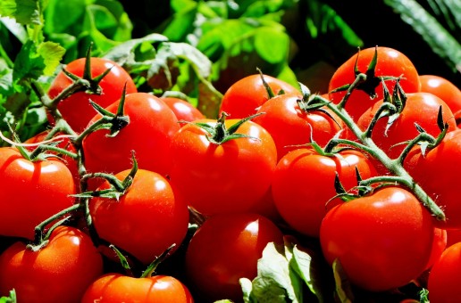 Snappy Tomato Bayers Lake | 215 Chain Lake Dr, Halifax, NS B3S 1C9, Canada | Phone: (902) 404-0011