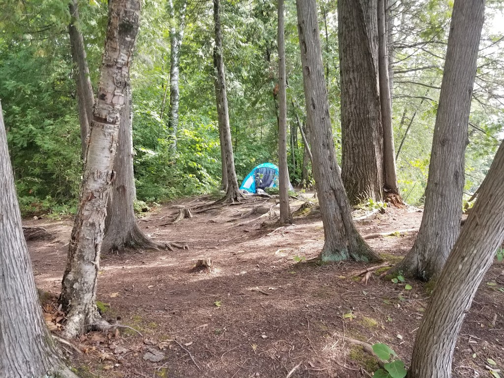 Parc régional du Poisson Blanc | 37 Chemin de la Truite, Notre-Dame-du-Laus, QC J0X 2M0, Canada | Phone: (819) 767-2999