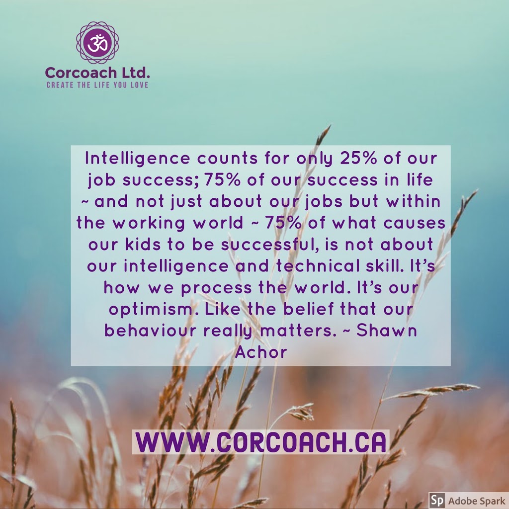 Corcoach Ltd. | 11031 30 Ave NW, Edmonton, AB T6J 3B1, Canada | Phone: (780) 267-4342