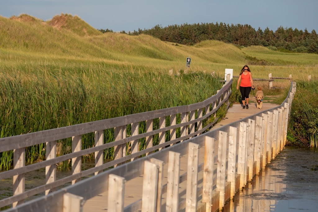 Cavendish Dunelands Trail, Prince Edward Island National Park | 590 Grahams Ln, Cavendish, PE C0A 1Mn, Canada | Phone: (902) 672-6350
