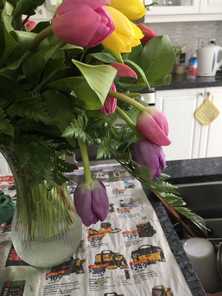 24hr Blooms n Roses - 24hr Classic Flowers | 2601 Matheson Blvd E #16, Mississauga, ON L4W 5A8, Canada | Phone: (905) 366-2306