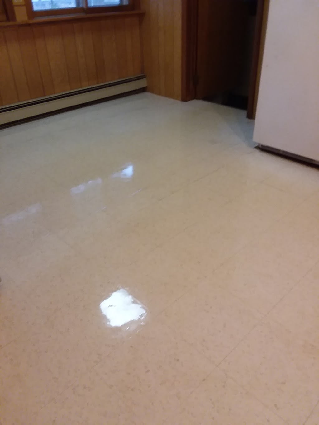 Tiger carpet care | 5495 Orchard Dr, East China, MI 48054, USA | Phone: (810) 420-0341
