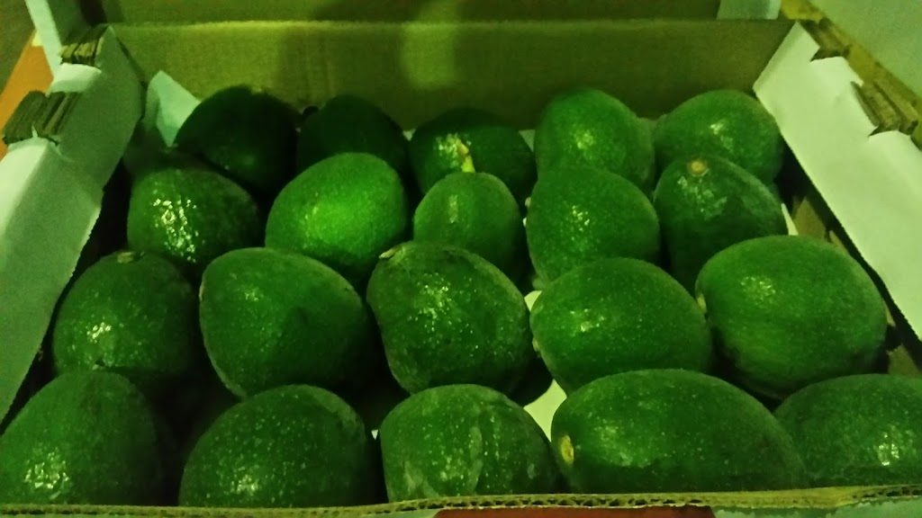 Tropimex Produce | 4151 184 St, Surrey, BC V3Z 1B7, Canada | Phone: (604) 277-1705