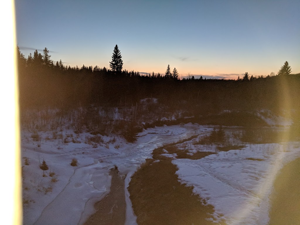 Big Bear Park | 1312 109 St NW, Edmonton, AB T6J 5X9, Canada