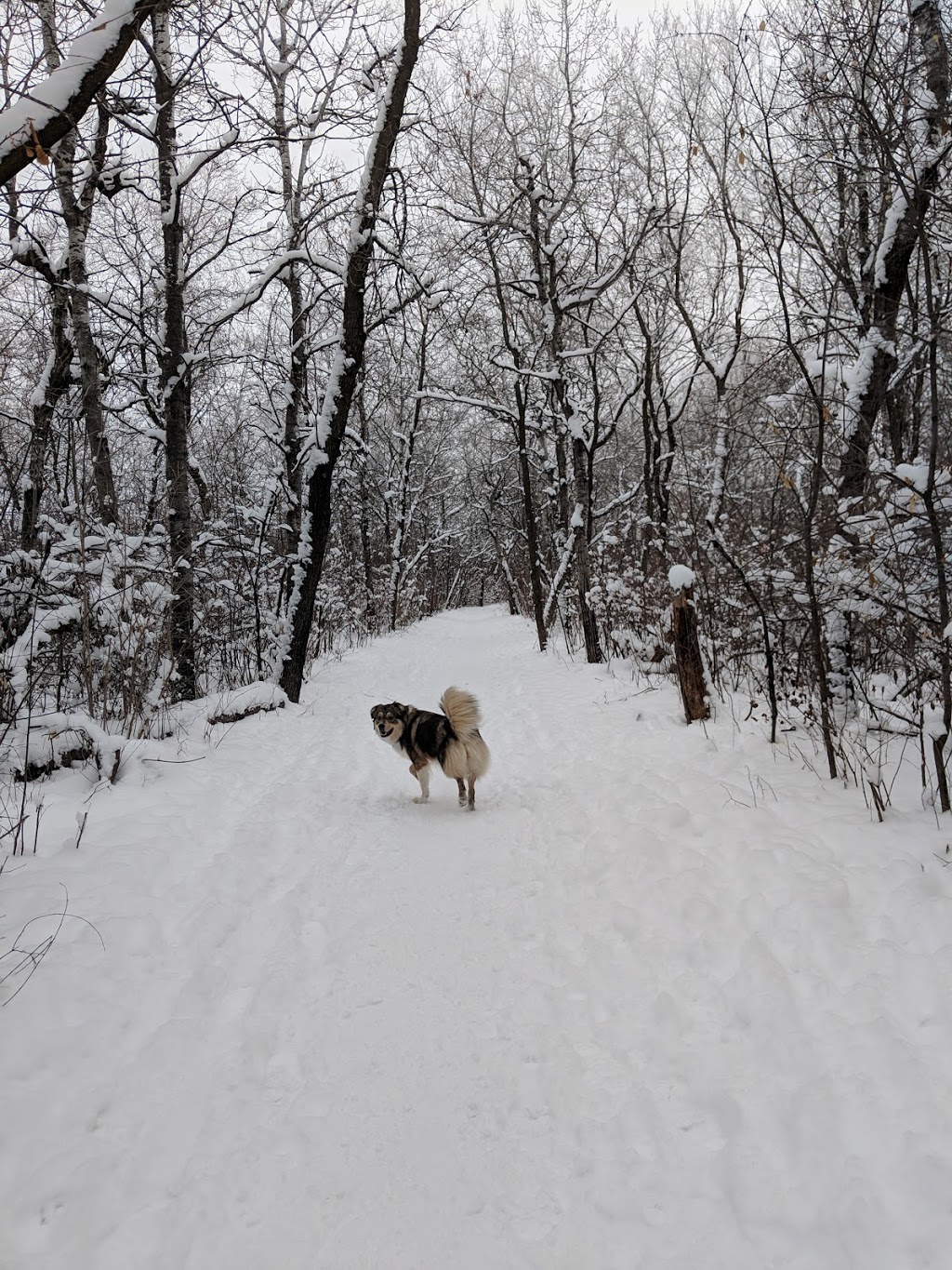 Little Mountain Park | Farmer Avenue, Stony Mountain, MB R0C 3A0, Canada