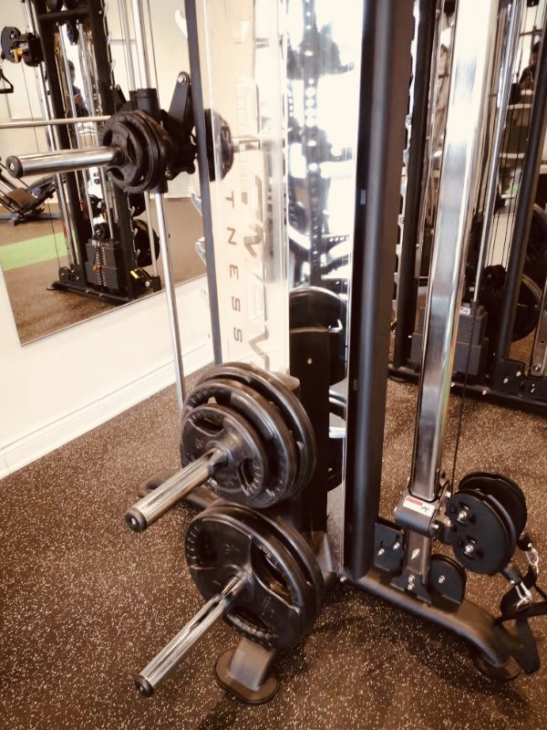 Almighty全能-Performance, Fitness, Lifestyle and Growth | 1900 Fowler Dr d117, Mississauga, ON L5K 1T7, Canada | Phone: (647) 531-8694