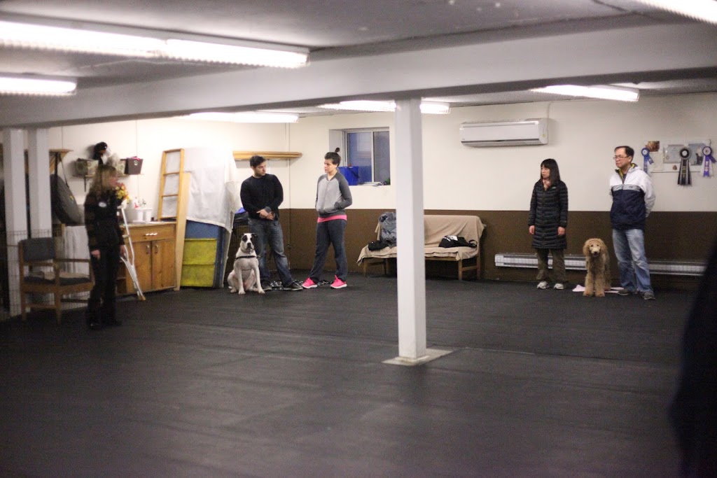 Canine Campus Training Centre | 1 Laidlaw Blvd, Markham, ON L3P 1W5, Canada | Phone: (905) 477-8092