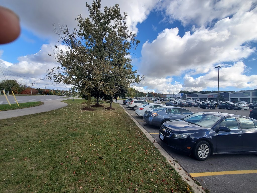 DriveTest | 1405 Ottawa St N Unit 11, Kitchener, ON N2A 3Z1, Canada | Phone: (888) 570-6110