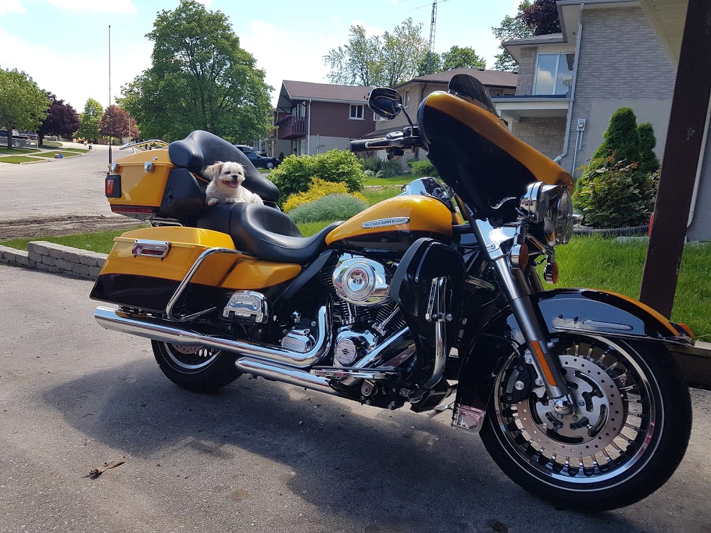 Marks Motorsports | 32 King St N, Oakland, ON N0E 1L0, Canada | Phone: (226) 655-5555