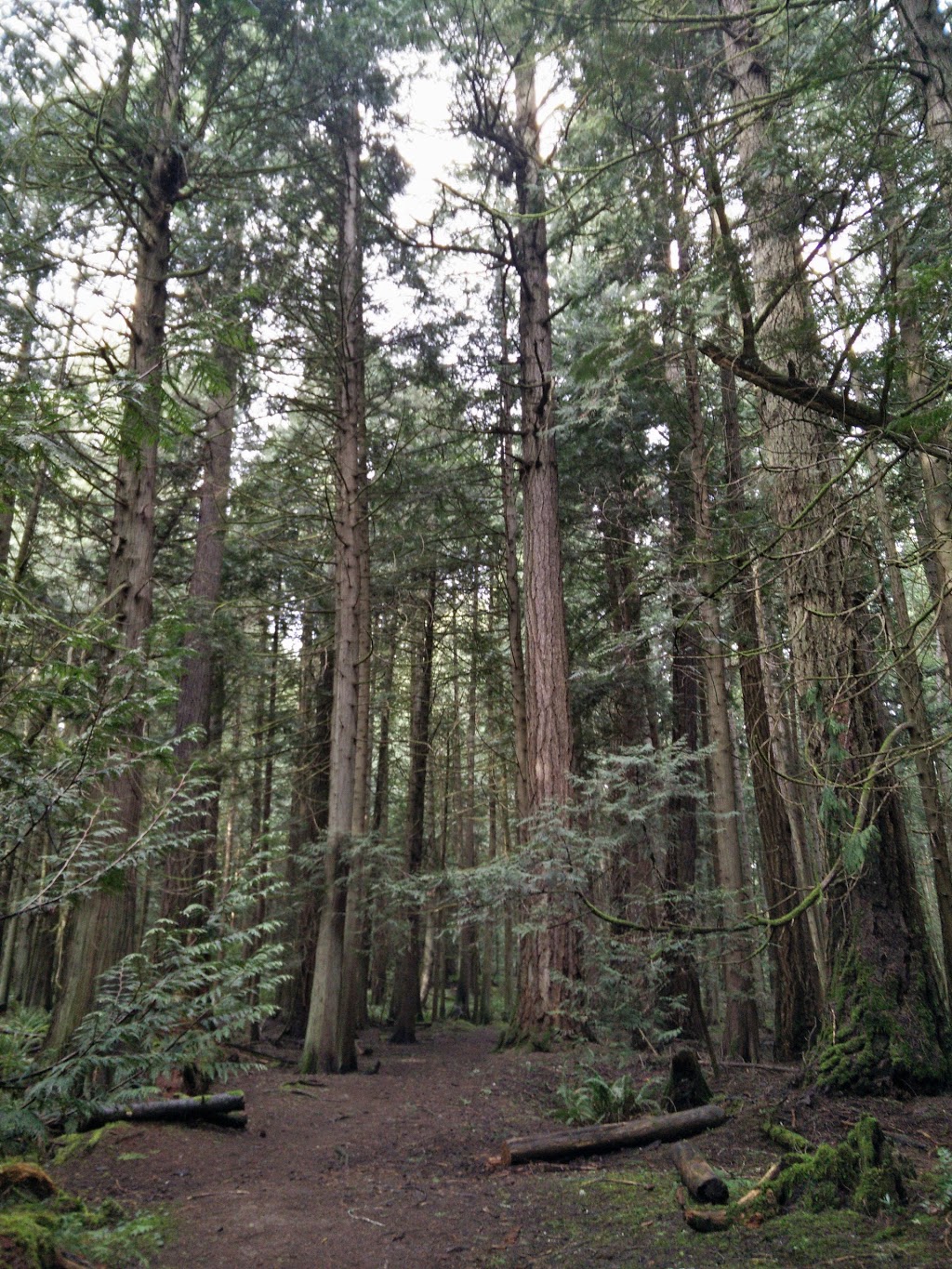 Francis/King Regional Park | Munn Rd, Saanich, BC V9E 1H7, Canada | Phone: (250) 360-3000