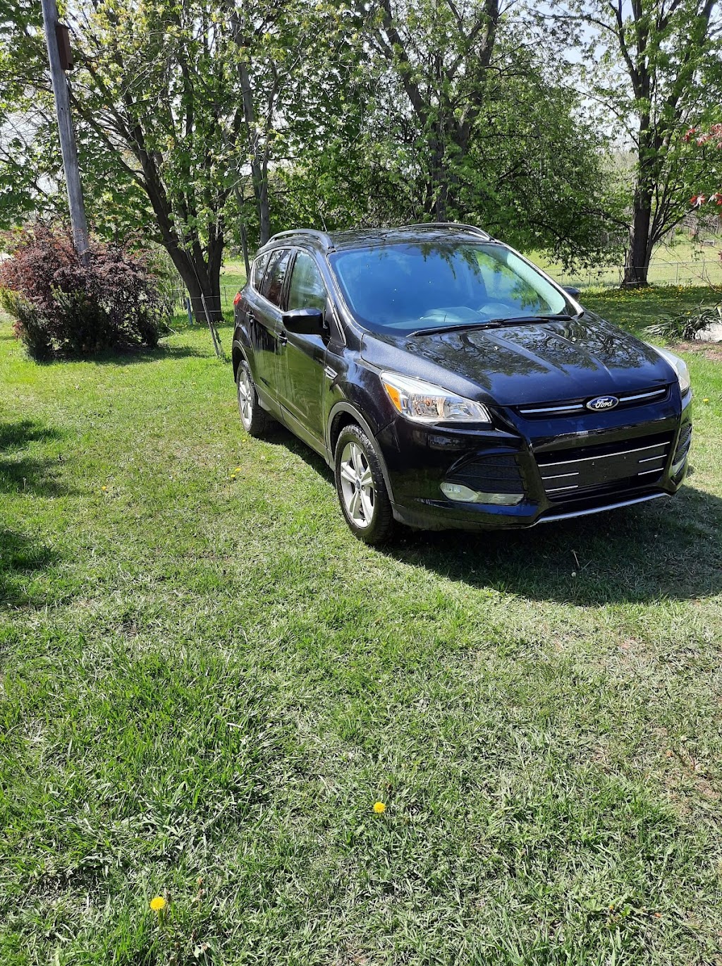 Lenart Motors | 3301 Lewis Rd, Putnam, ON N0L 2B0, Canada | Phone: (519) 721-3004