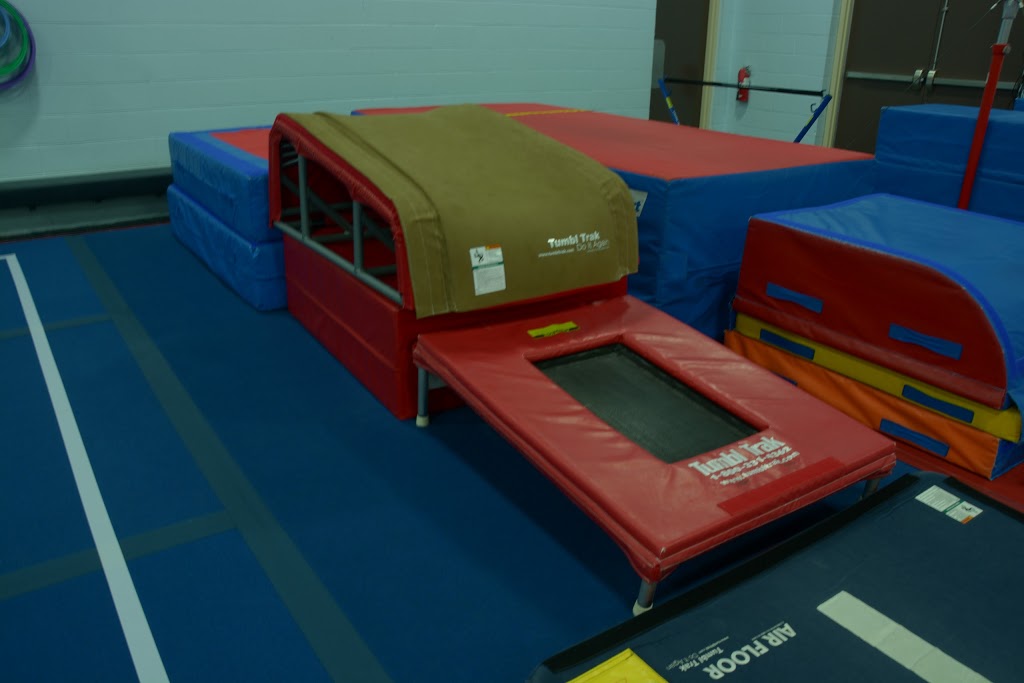 Guelph Saultos Gymnastics | 377 College Ave W, Guelph, ON N1G 4T4, Canada | Phone: (519) 837-3335