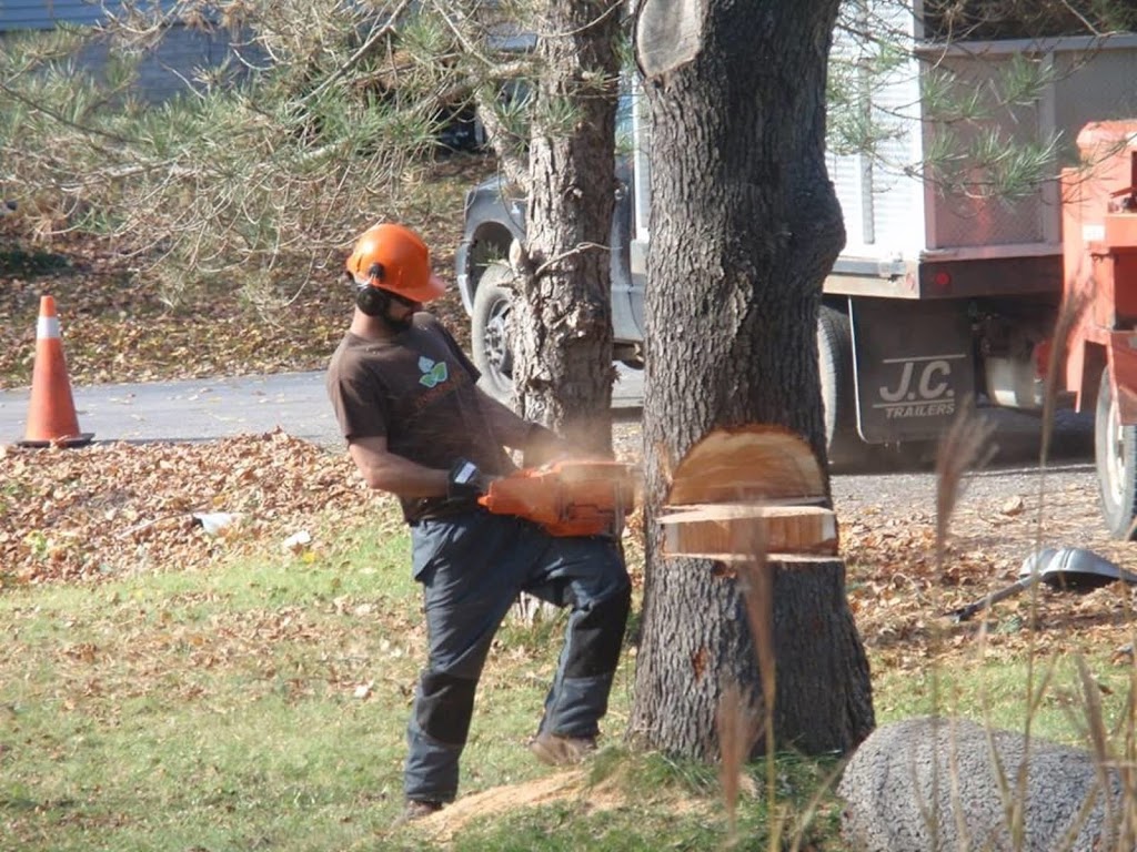 Timberscapes Inc. | Box 223, Sutton West, ON L0E 1R0, Canada | Phone: (905) 251-7422