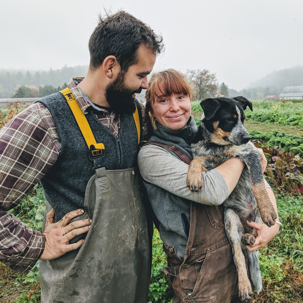 Rooted Oak Farm | 9230 Branch Rd, North Augusta, ON K0G 1R0, Canada | Phone: (613) 340-7633
