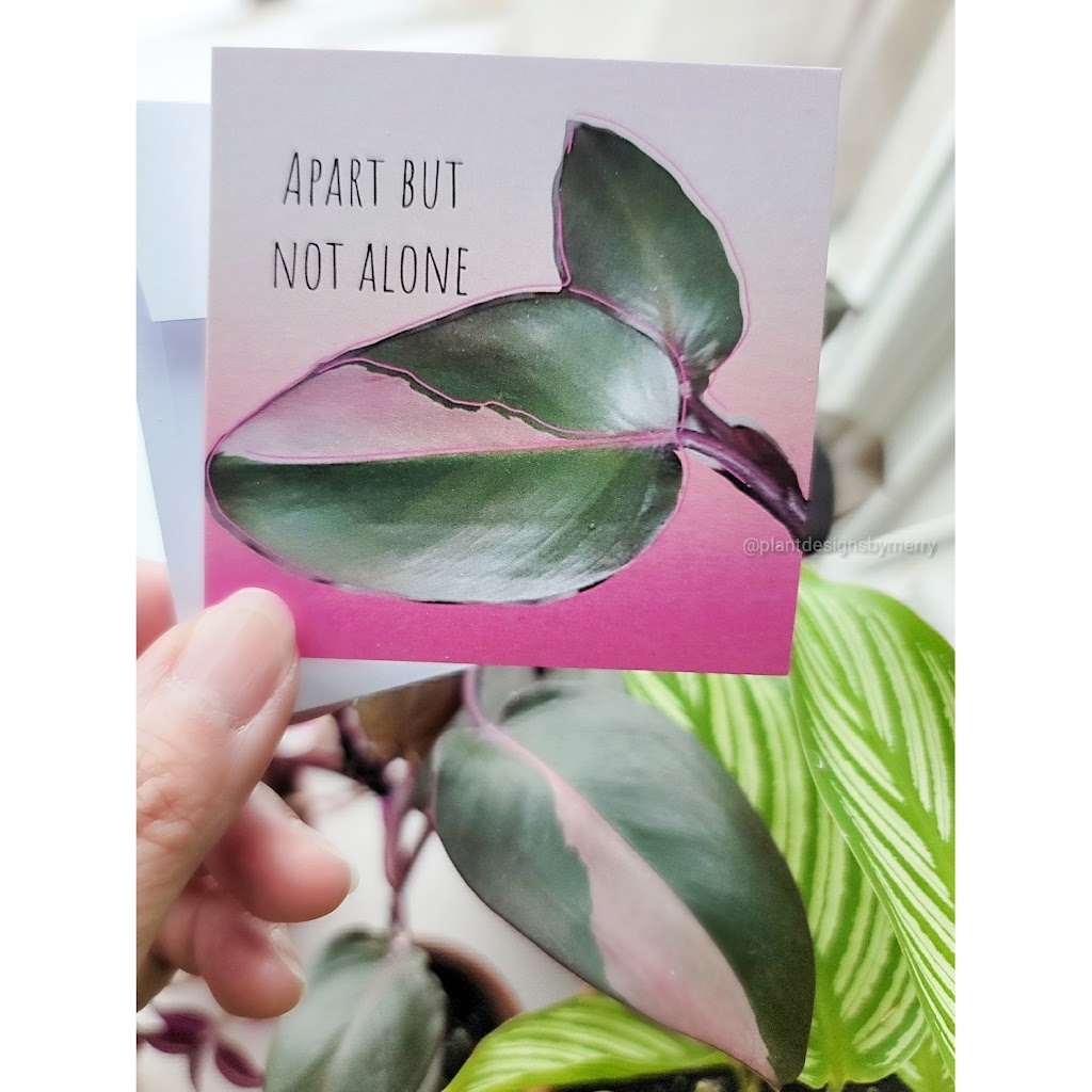 Plant Designs by Merry | 2093 Bur Oak Ave, Markham, ON L6E 0C5, Canada | Phone: (416) 648-5956