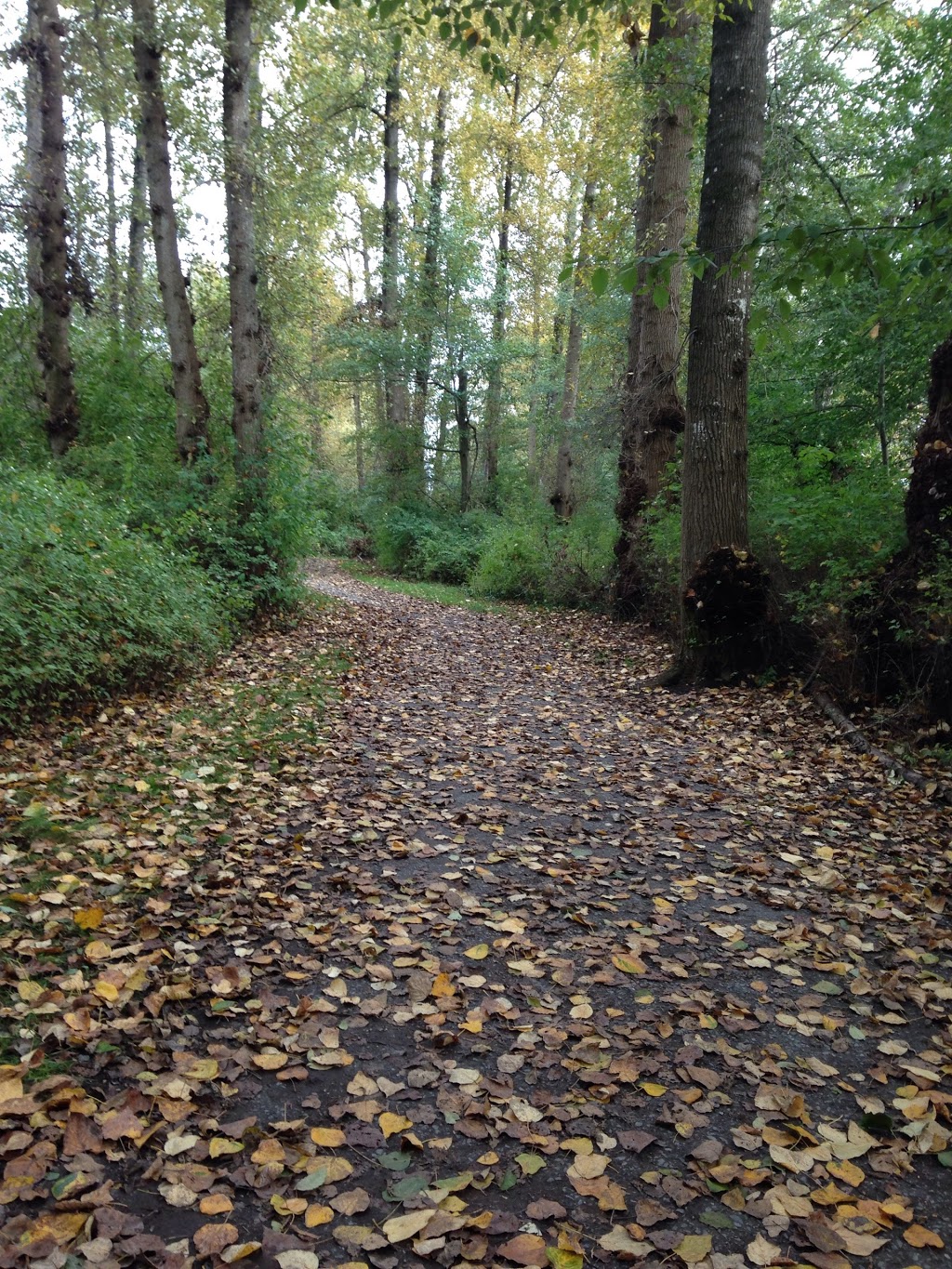 Burnaby Fraser Foreshore Park | & Fraser River Park Dr, Byrne Rd, Burnaby, BC V5J 3H6, Canada | Phone: (604) 294-7450