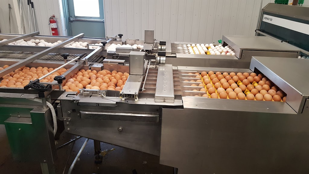 Burnbrae Farms Ltd | 3356 27, Lyn, ON K0E 1M0, Canada | Phone: (613) 345-5651