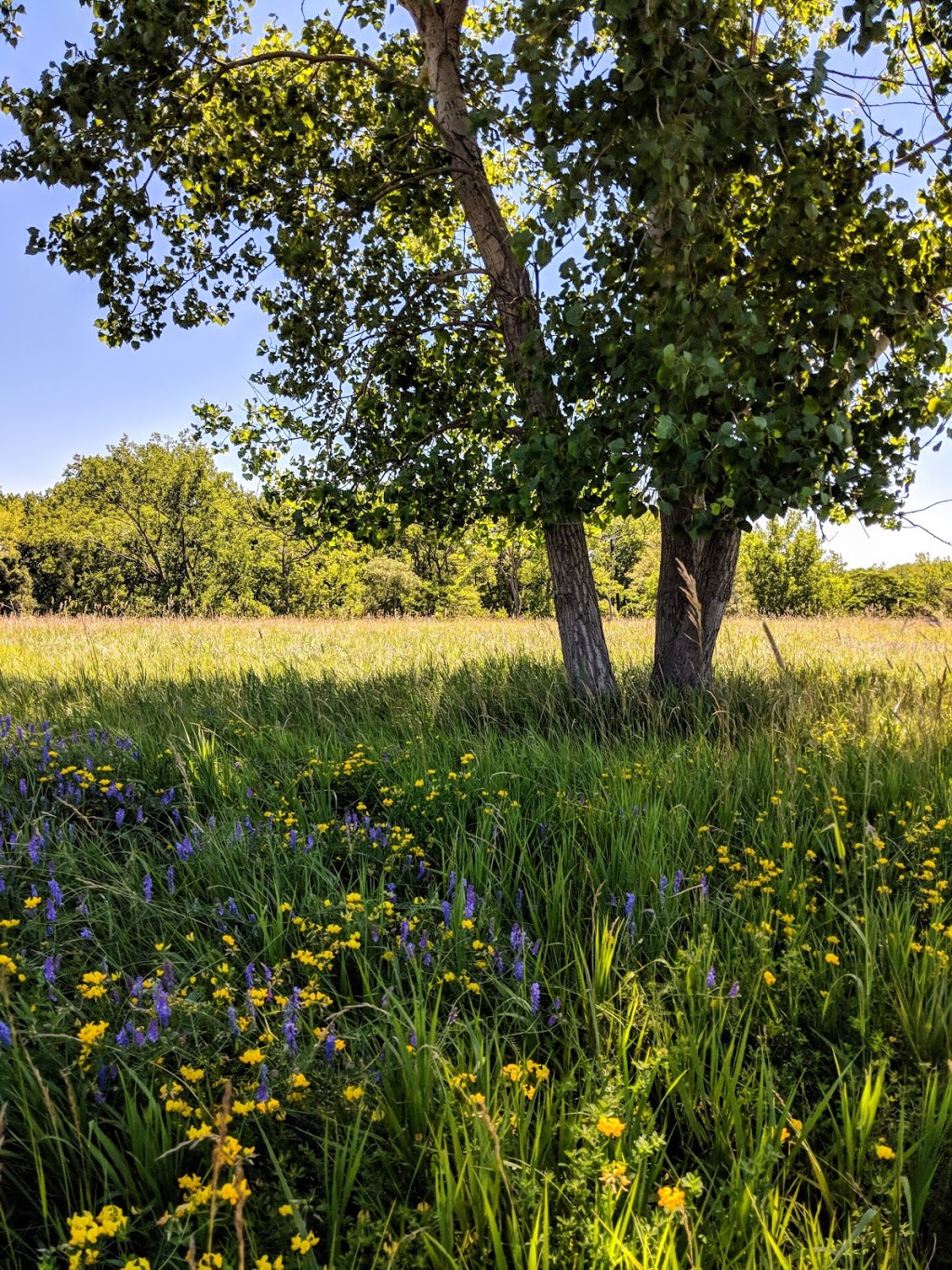 Tifft Nature Preserve | 1200 Fuhrmann Boulevard, Buffalo, NY 14203, USA | Phone: (716) 825-6397