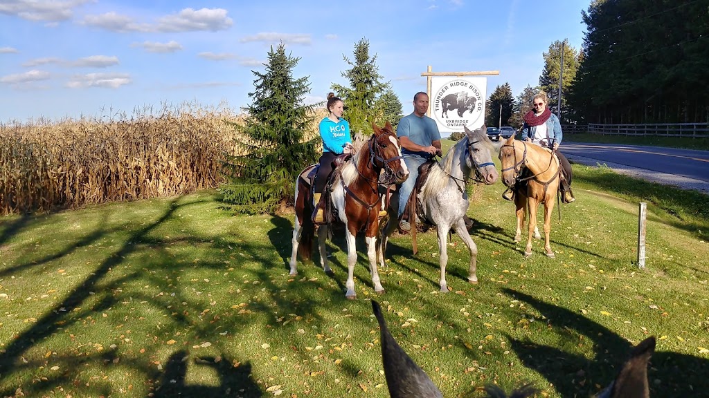 Thunder Ridge Bison Company | 664 Davis Dr, Uxbridge, ON L9P 1R2, Canada | Phone: (905) 391-8666