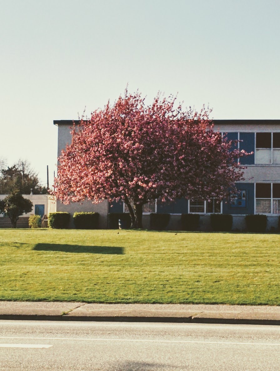 New Westminster Secondary School | 835 8th St, New Westminster, BC V3M 3S9, Canada | Phone: (604) 517-6220