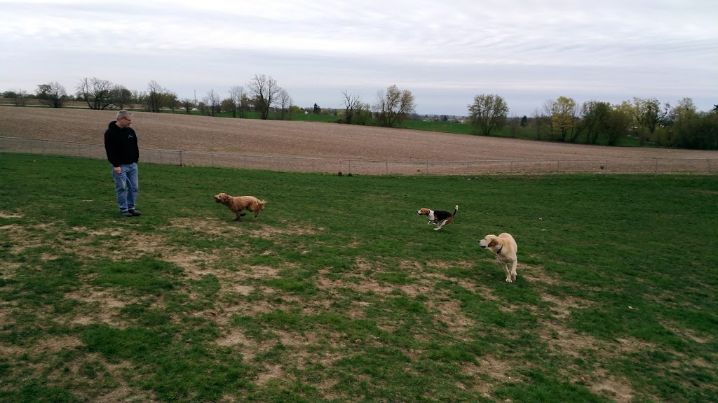 Masters N Hounds | 2517 Fischer-Hallman Rd, Ayr, ON N0B 1E0, Canada | Phone: (519) 696-3647