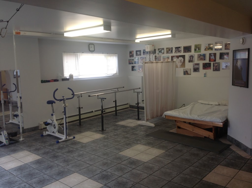Peters Place | 326 Huey Lake Rd, Pleasantville, NS B0R 1G0, Canada | Phone: (902) 688-1575