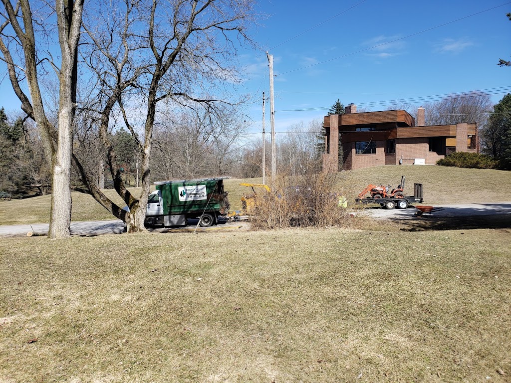 Branchbusters Expert Tree Care | 19625 Main St, Alton, ON L7K 0E1, Canada | Phone: (905) 859-4004