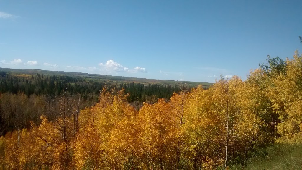 Weaselhead Flats | 37 St SW & 66 Avenue Southwest, Calgary, AB, Canada | Phone: (403) 268-2489