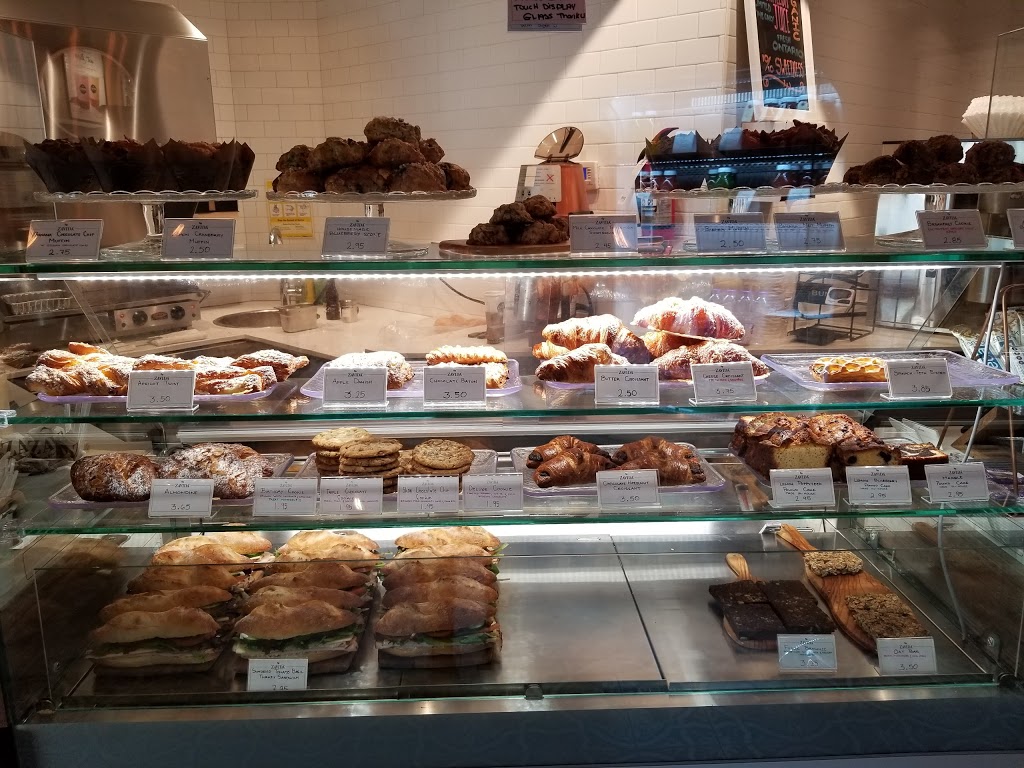 Zavida Coffee Roasters | 382 Yonge St #3, Toronto, ON M5B 1S8, Canada | Phone: (647) 351-0055