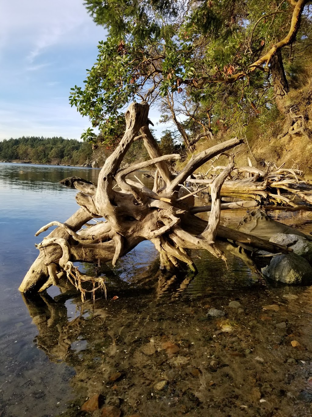 Winter Cove Marine Park | Church Bay Rd, Saturna, BC V0N 2Y0, Canada