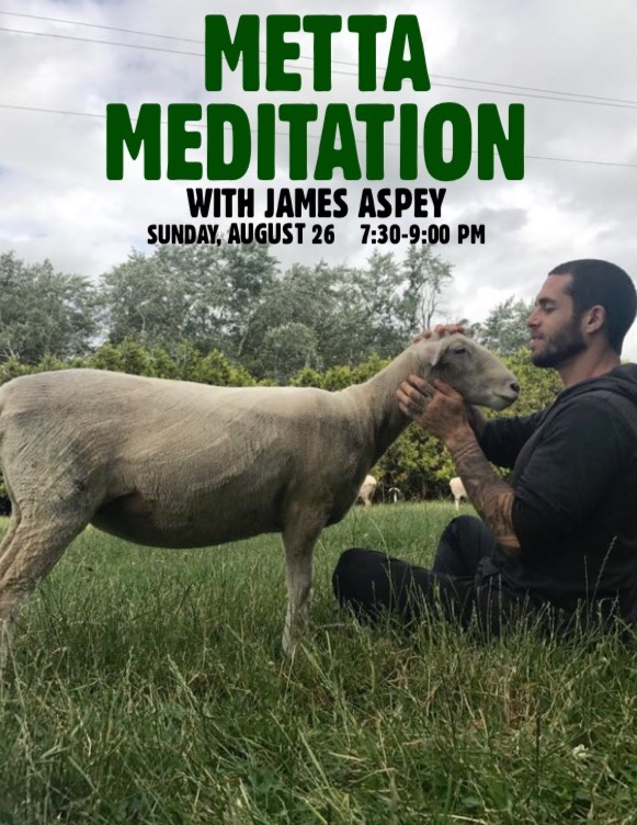 Modo Yoga Newmarket | 17235 Leslie St #1, Newmarket, ON L3Y 8E4, Canada | Phone: (905) 952-0101
