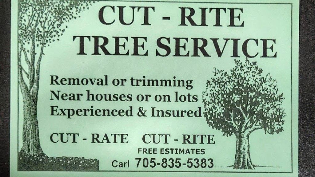 Cut-Rite Tree Service | 4279 5 Line N, Coldwater, ON L0K 1E0, Canada | Phone: (705) 737-6339