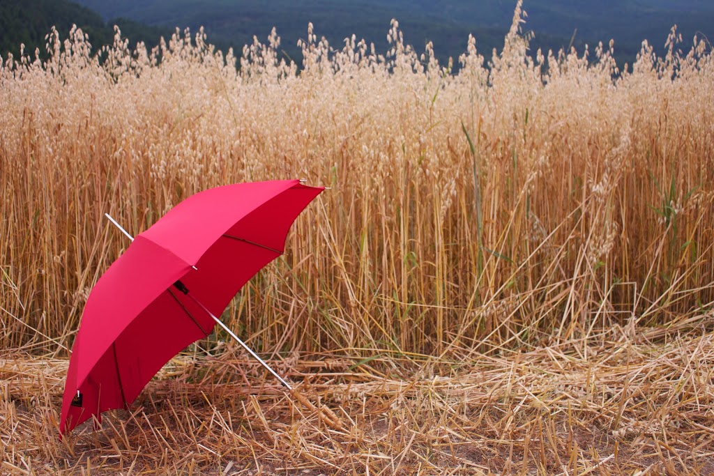 Okanagan Real Estate Umbrella | 5603 27 St, Vernon, BC V1T 8Z5, Canada | Phone: (250) 308-4310